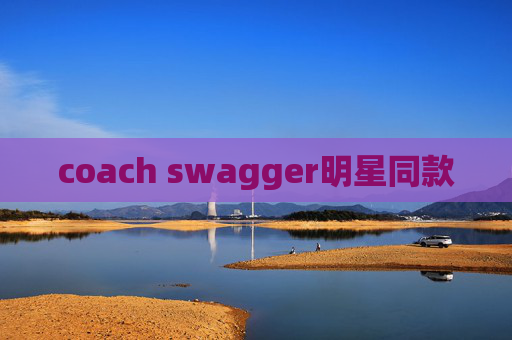 coach swagger明星同款